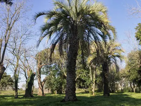 Terreno en Venta de 450,0 m2