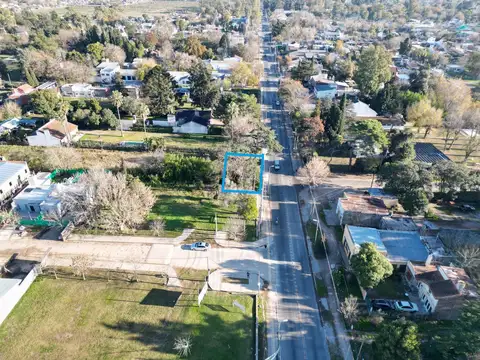 7y602 Bis (La Aurora) PH F.3-Q.46-L.2 (UF.4,5y6)