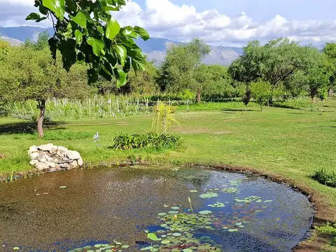 Espectacular Casa + finca en Villa de las Rosas, Traslasierra, Cordoba