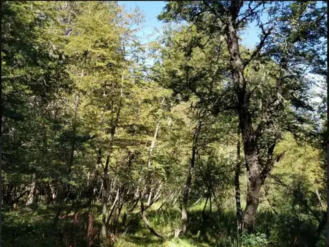 Terreno en Venta de 825,0 m2