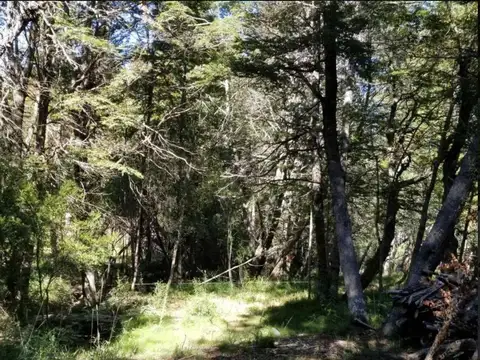 VENTA Lote de 825 m2    77m2 con arroyo, Las Balsas, Villa la Angostura