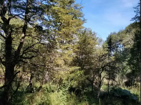 Terreno en Venta en Villa la Angostura, USD 85.000