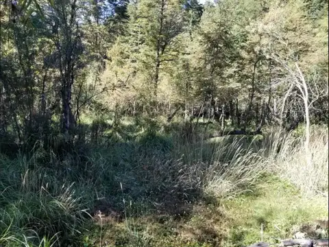 Terreno en Venta 42  mts Fondo