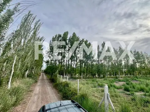 Chacra 1 Hectarea en Pueblo Conejo - Fernandez Oro