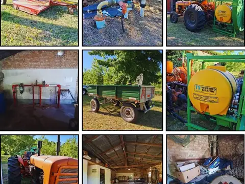 10 hectáreas nuez pecan más mejoras