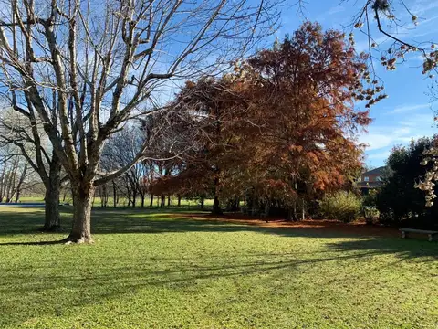 Club de Campo San Francisco  Manzanares, Pilar