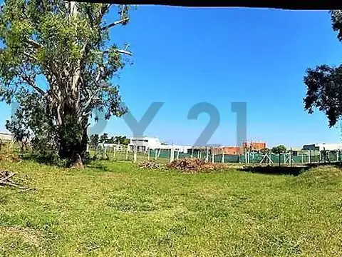 Ruta 25 y E. Casella 100, Piso 0