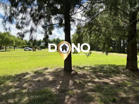 LOTE en Haras del Sur 2