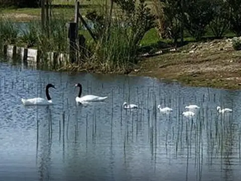 Terreno en Venta en El Cantón - Barrio Puerto, USD 225.000