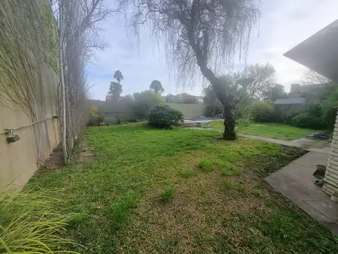 Pellegrini al 800 , Roldan