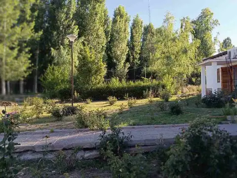 FINCA 11,5 HAS. EN COLONIA LAS ROSAS - TUNUYÁN