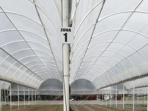 VENTA de Chacra 9 hectáreas, productiva comercial con invernaderos