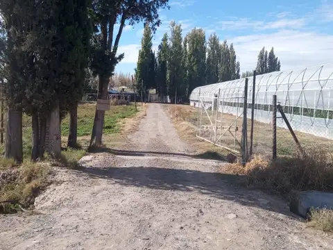 VENTA de Chacra 9 hectáreas, productiva /comercial con invernaderos