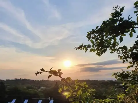 Complejo de Cabañas