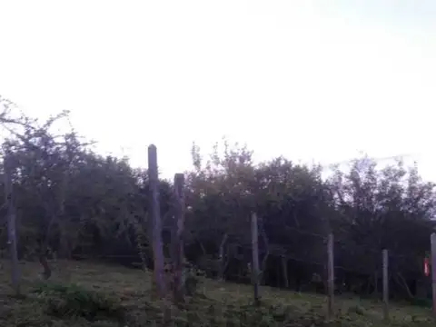 Terreno en Venta de 540,0 m2