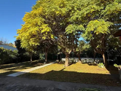 Calle Lauquen-mapu 500