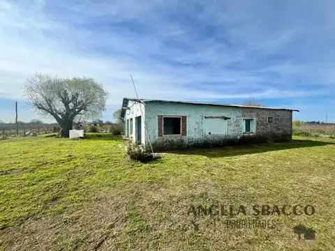 Ana Zavalia Bunge, Torres.