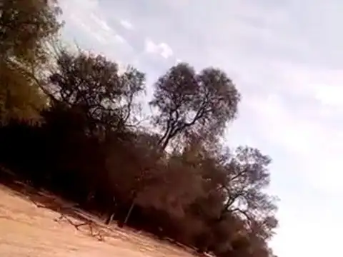 Campo 1000 Ha Depto. Rivadavia Salta