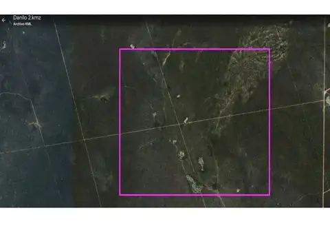 Campo 1000 Ha Depto. Rivadavia Salta