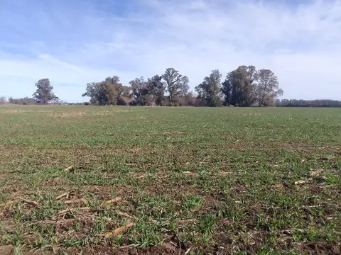 Campo en Venta de 26  ha