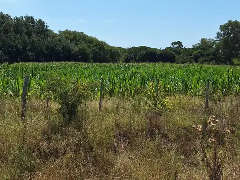 Campo en Venta de 26  ha