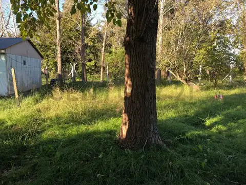 calle 40 700, Piso 0