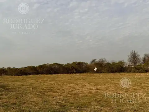 Haras Santa Maria - Lote al Golf