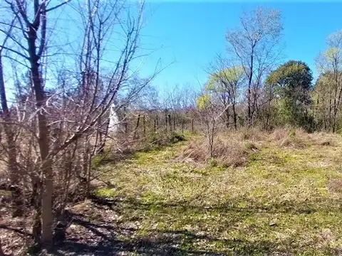 Terreno en Venta en Los Reartes, USD 20.000