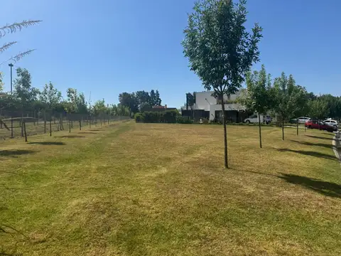 Lote Barrio San Eduardo Pilar del Este