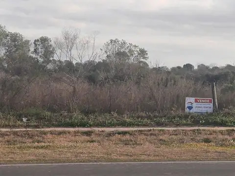 Terreno en Venta de 20000,0 m2