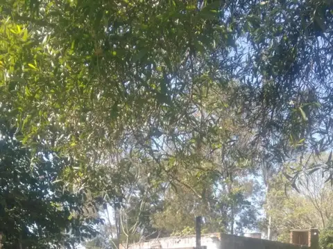 CASA CON TERRENO LIBRE