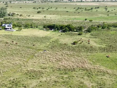 Vendo Campo 20 Has en Ruta 39 Concepción del Uruguay Entre Ríos