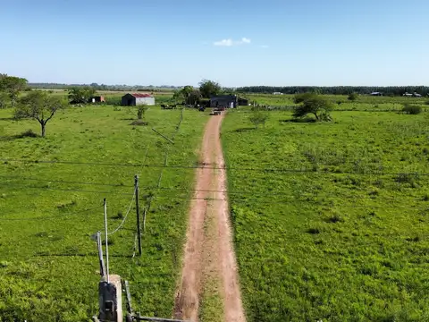 Vendo Campo 20 Has en Ruta 39 Concepción del Uruguay Entre Ríos