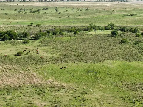 Vendo Campo 20 Has en Ruta 39 Concepción del Uruguay Entre Ríos
