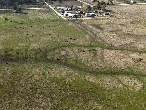 Lote en Venta en Magdalena 7.459 m2 CAMPO