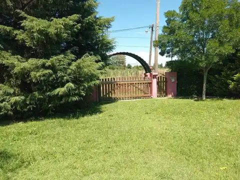 QUINQUELA MARTIN 100