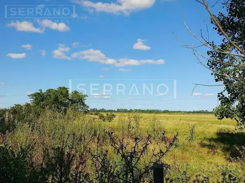 Importante Campo en Venta  146ha  junto a Colonia de Chacra