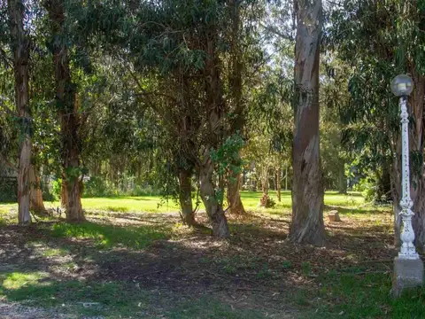 Terreno en Venta de 579,0 m2