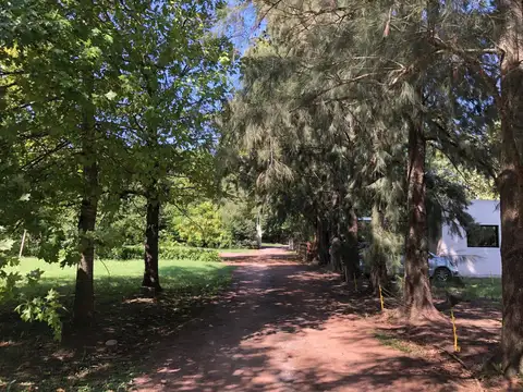 Terreno en Venta de 810,0 m2