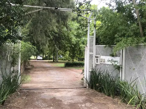 Terreno en Venta 45  mts Fondo