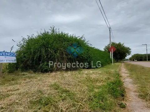 VENTA- 2 LOTES DE 2.500 M2 - SINSACATE