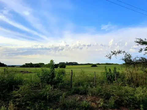 Terreno en Venta de 10000,0 m2