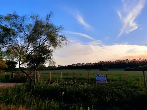 Terreno en Venta en Baradero, USD 65.000