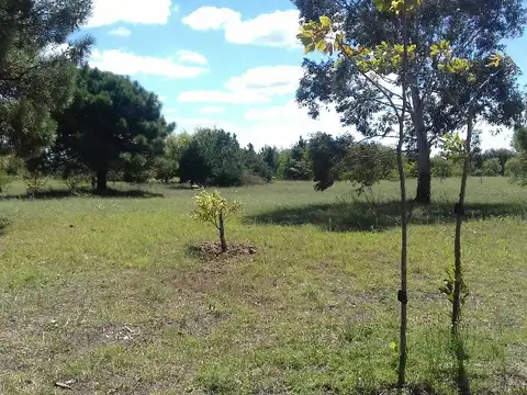 Terreno - Venta - Argentina, San Bernardo