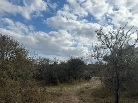 Terreno en Venta de 18000,0 m2