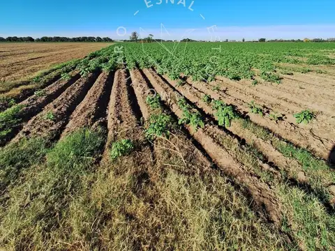 VENTA CAMPO GENERAL LAGOS ZONA GENERAL MOTORS