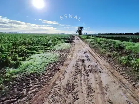 Campo en Venta de 2,20  ha