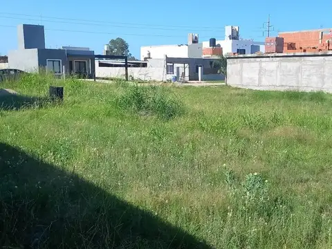 Calle las Toscas 4800