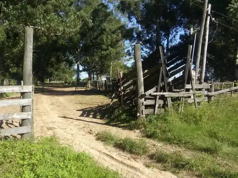 VENDO MAGNIFICO CAMPO DE 267 HECTÁREAS MUY CERCA DEL CENTRO