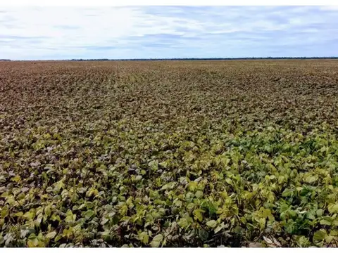 FINCA VENTA EMBARCACION SUSTENTABLE 2634 HA